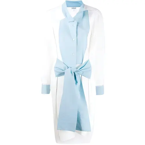 LOEWE FW21 Long Sleeved Dress Women's Blue