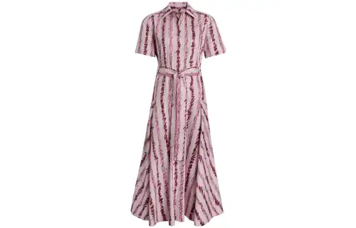 Burberry cotton shirt dress