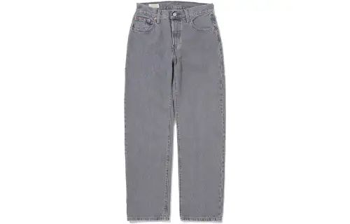 Levis Jeans Women's Gray Moderate Straight Fit Pants