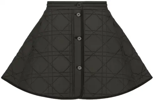 DIOR Casual Short Skirts Women's