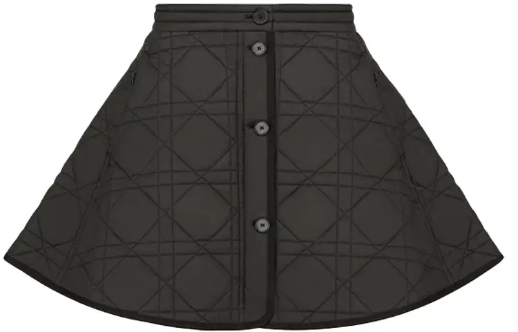 DIOR Casual Short Skirts Women's