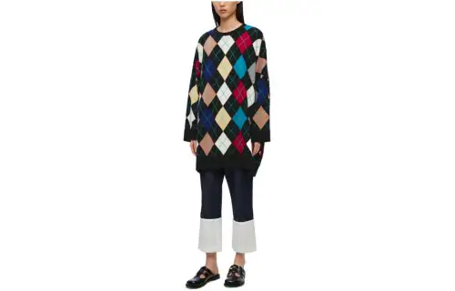 LOEWE Long Sleeved Dress Women's Multicolor