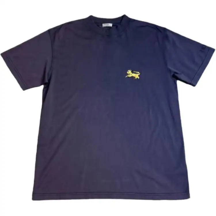 DIOR T Shirts Men's Blue Crew Neck Moderate Straight Fit