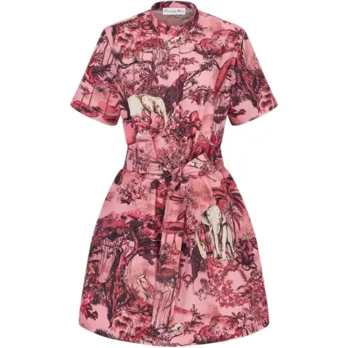 DIOR Floral Printed Tied Waist Shirt Dress