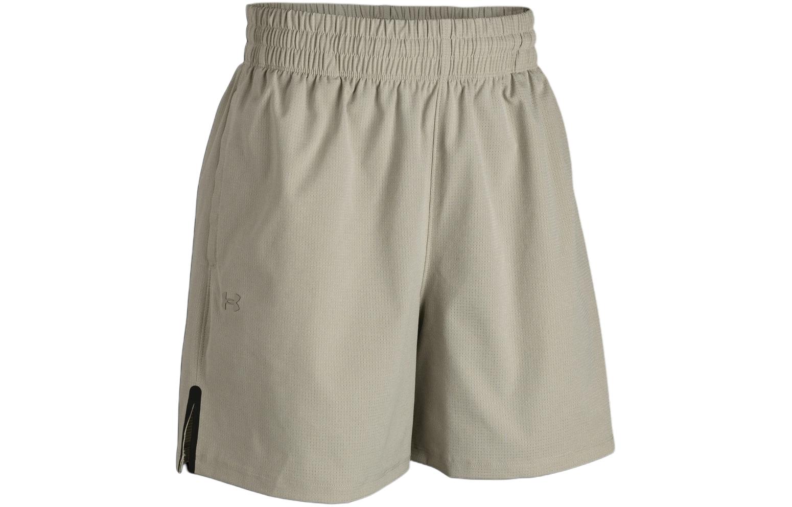 Женские штаны Under Armour Shorts (серые)