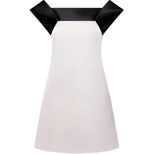 LOUIS VUITTON Shoulder Insert Dress