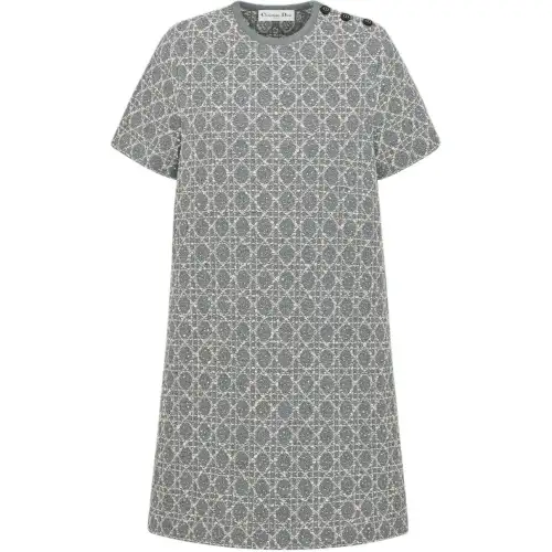 DIOR FW25 Short Sleeved Dress Women's Gray