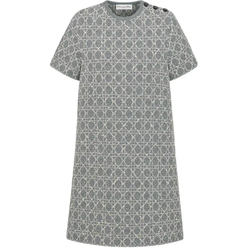 DIOR FW25 Short Sleeved Dress Women's Gray