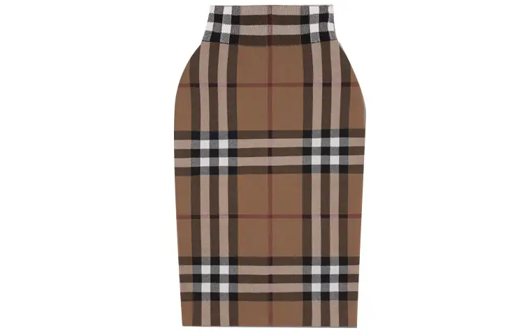 Burberry Women's Casual Long Skirt