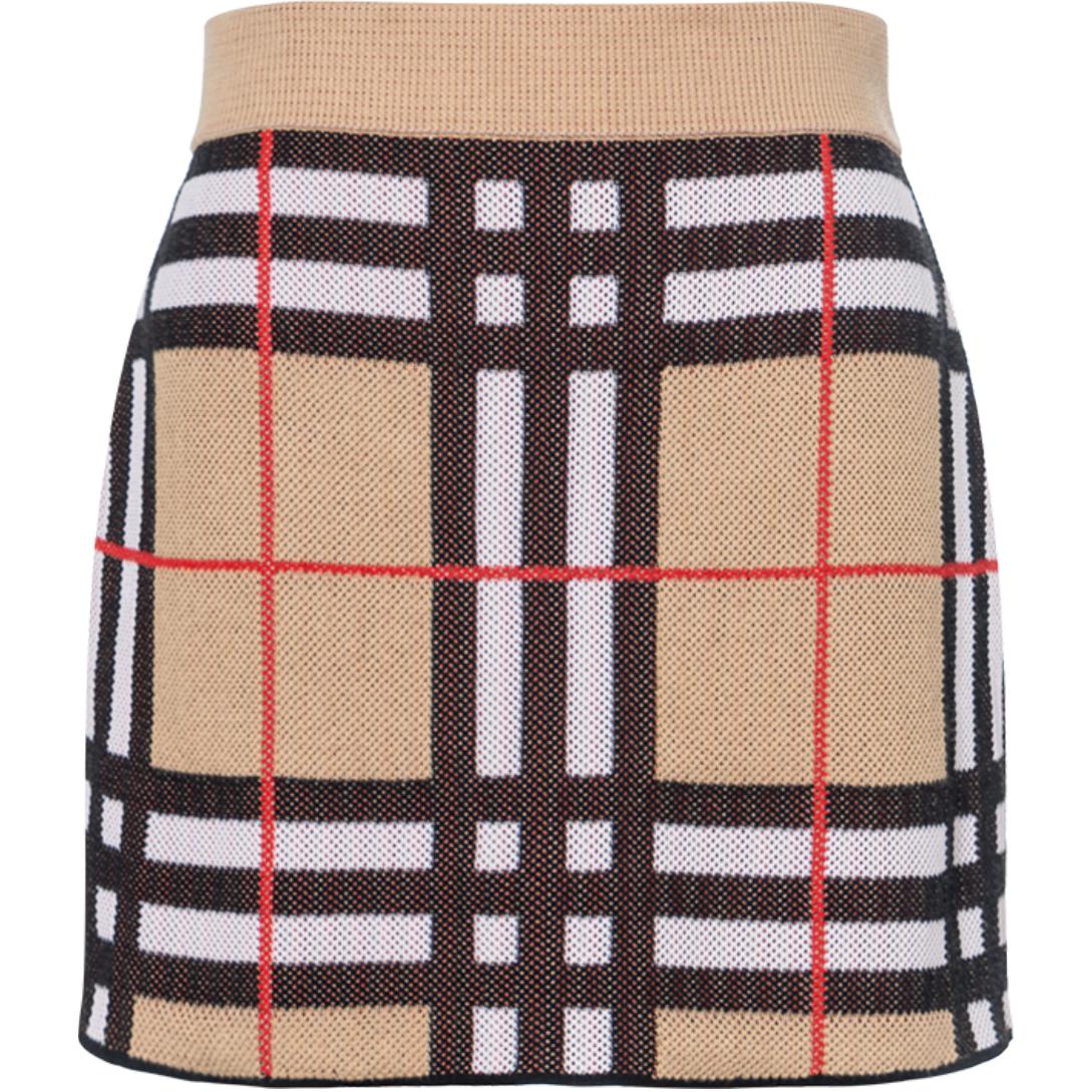 Женская юбка Burberry В полоску (разноцветная)