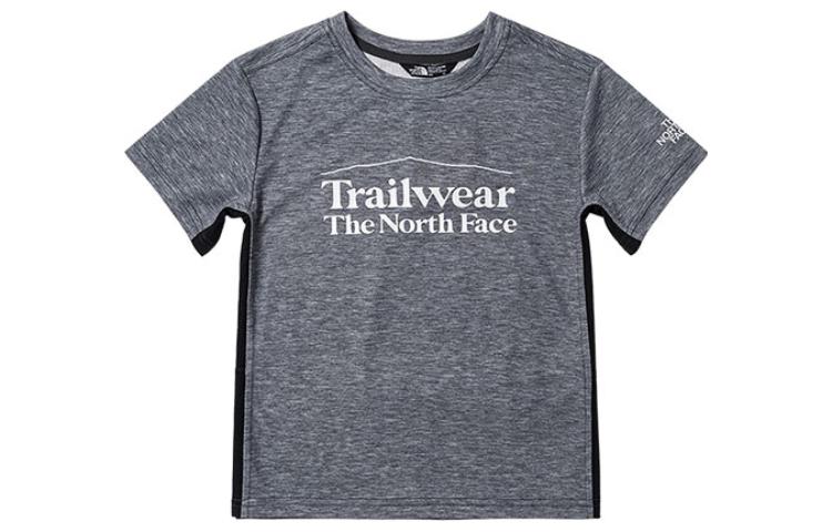 Мужская футболка The North Face Kids (серая)
