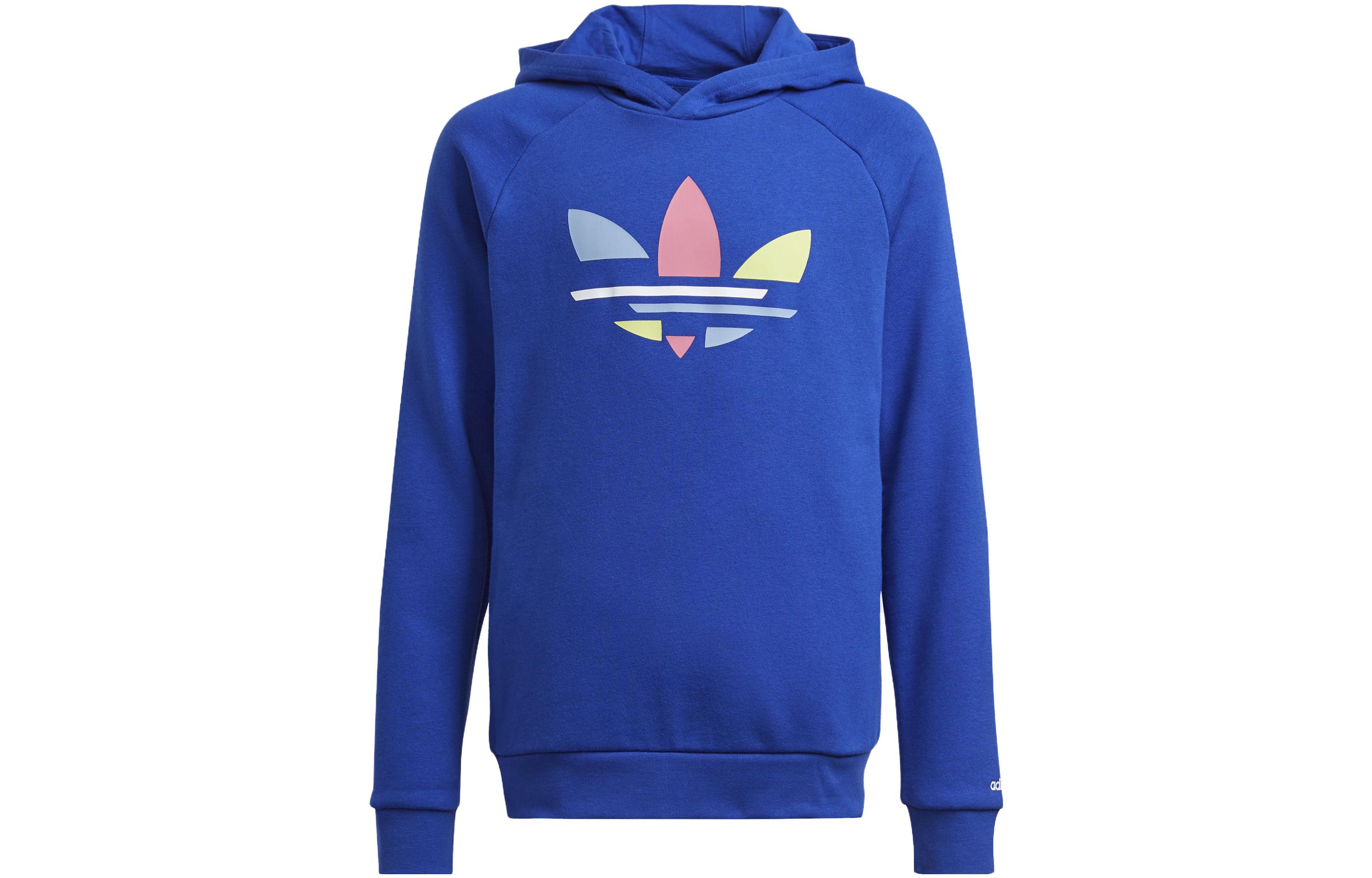 Мужская худи adidas Originals Adicolor (разноцветный)