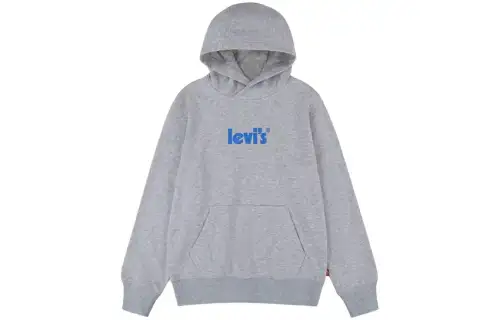 Levi's, long-sleeve, hoody for boys, children's clothing, with your logo imprint