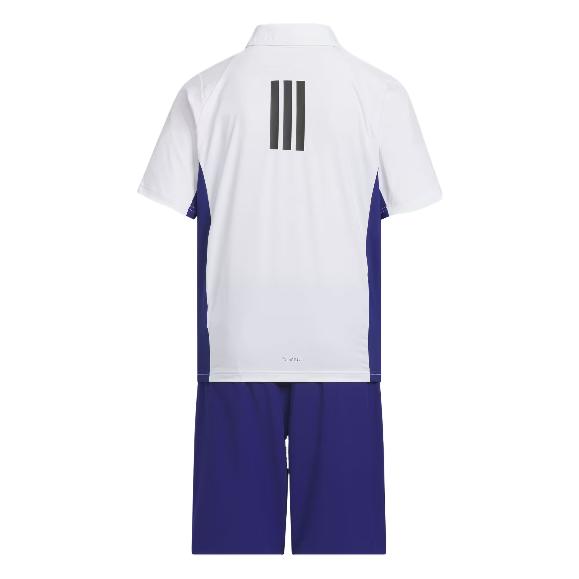 Мужской спортивный костюм adidas Sportswear (бело-синий) — фото 2