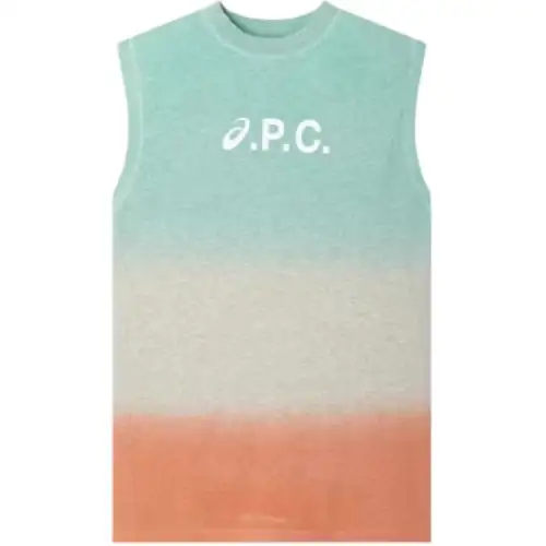 Asics X Apc Valey Dress Multicolor
