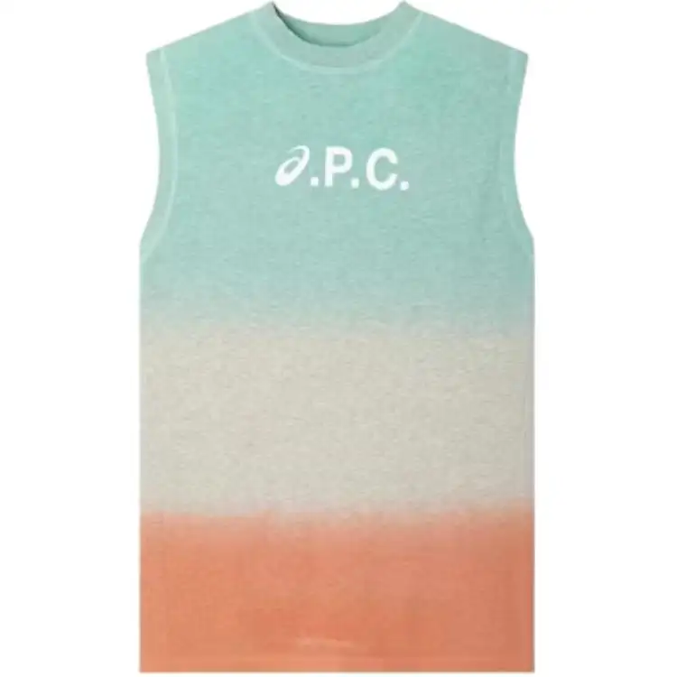 Asics X Apc Valey Dress Multicolor
