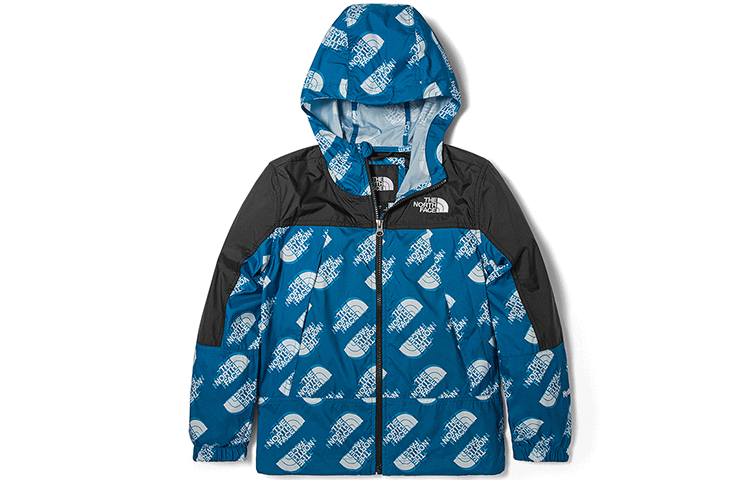 Куртка The North Face (синяя)