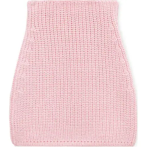 LOEWE FW24 Casual Short Skirts Women's Pink