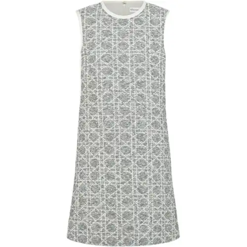 DIOR FW25 Sleeveless Dress Women's Gray