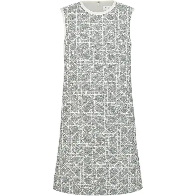 DIOR FW25 Sleeveless Dress Women's Gray