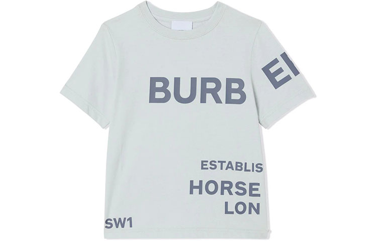 Мужская футболка Burberry SS22 Logo (серая)
