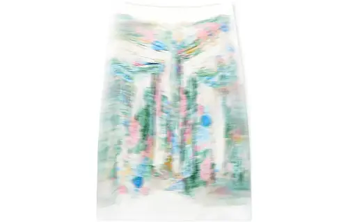 LOEWE Trompe L'oeil Print A line Skirt
