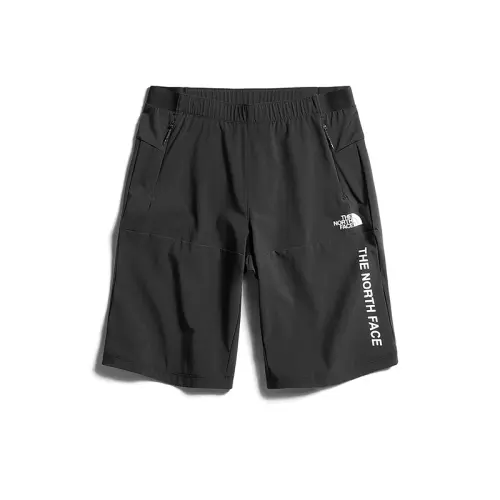 THE NORTH FACE Casual Shorts Men's Black