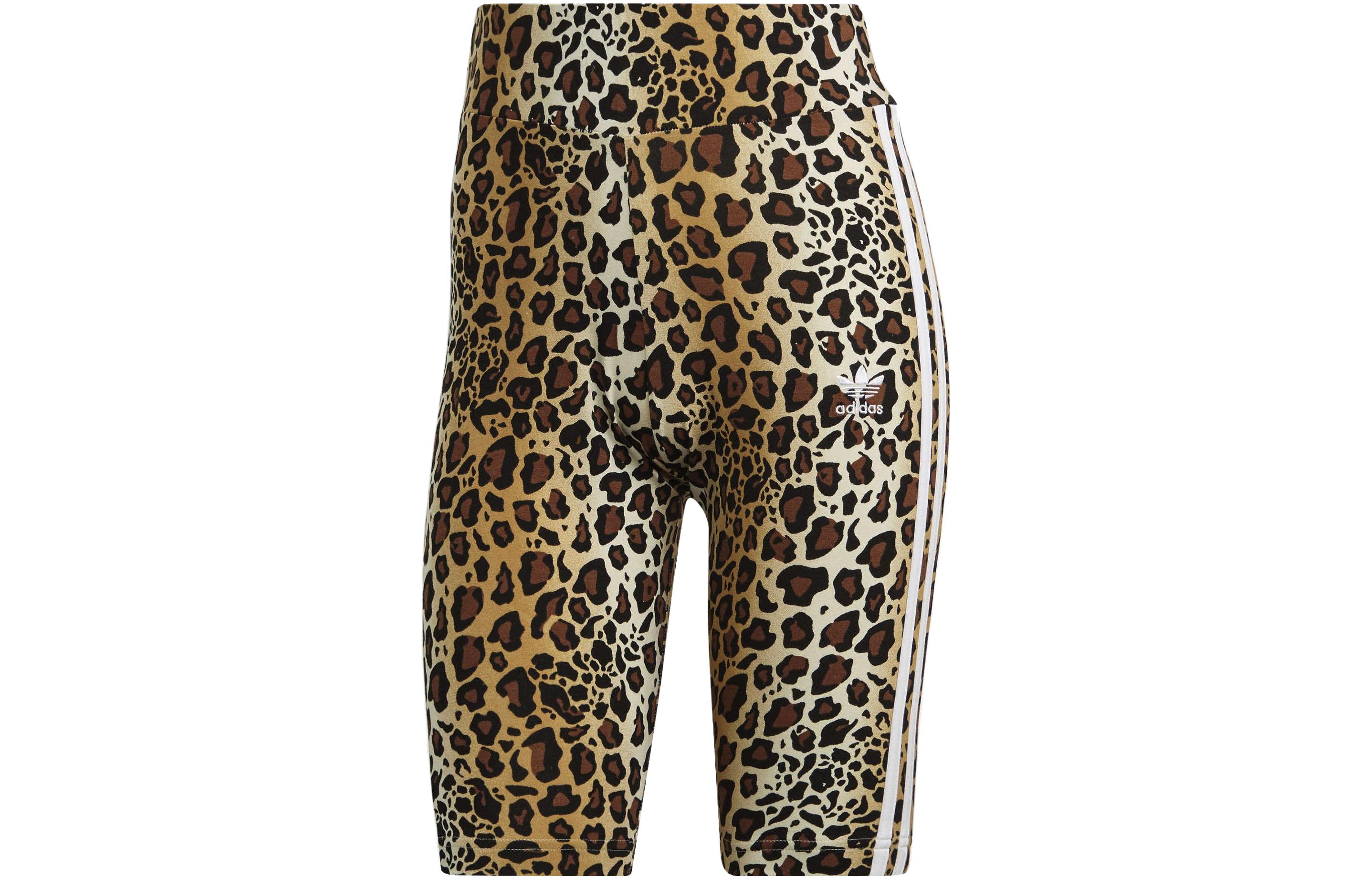 Adidas Sports Shorts Women’s Brown Moderate Tight Pants