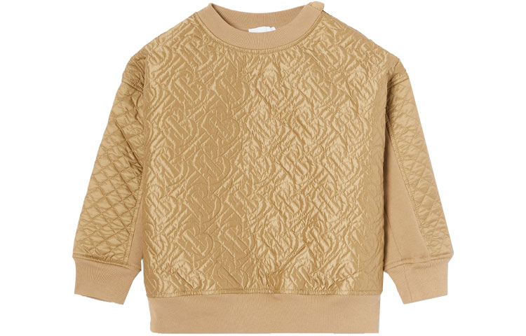 Мужская куртка Burberry (разноцветная)