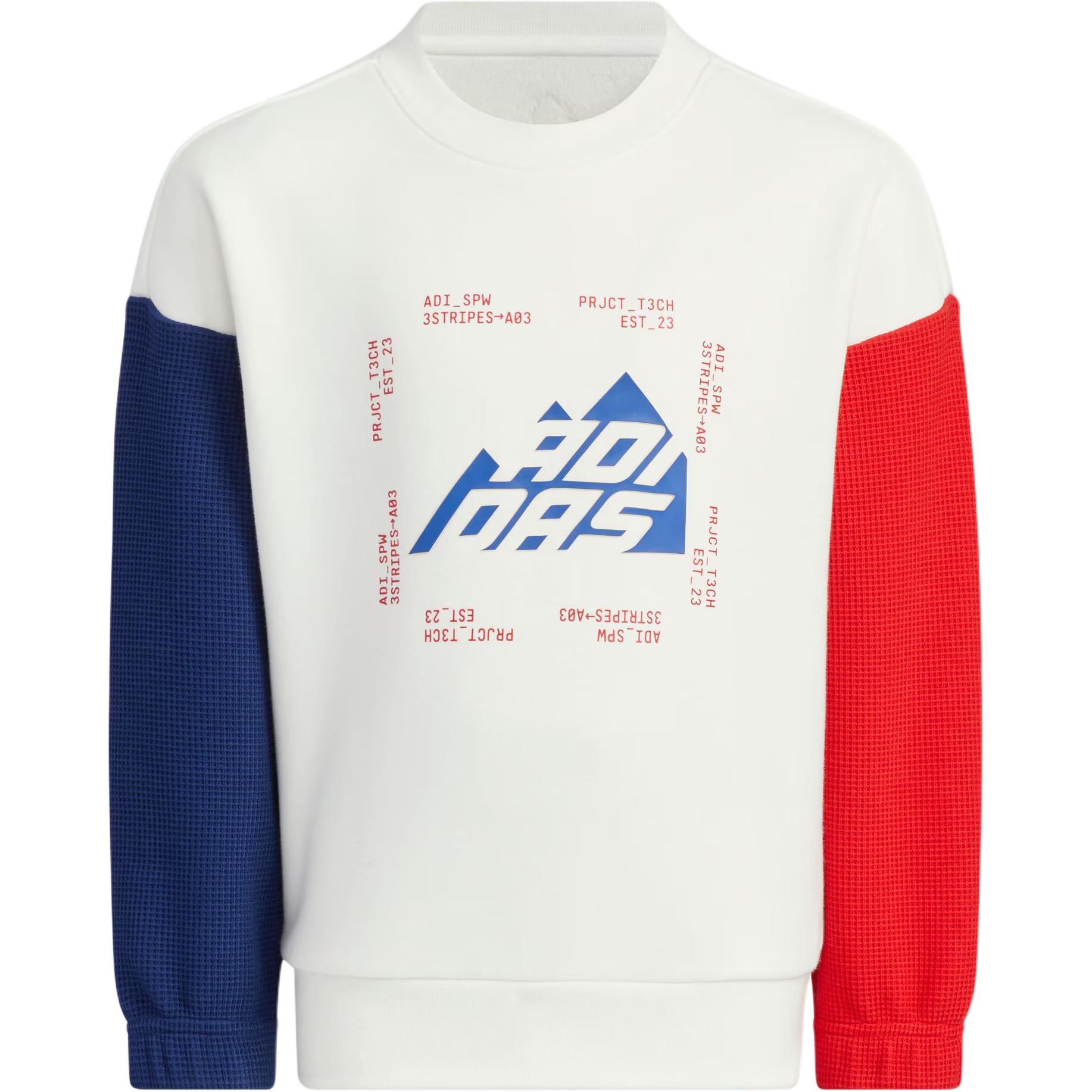 Мужское худи adidas Sportswear WARM CREW (бело-черное)