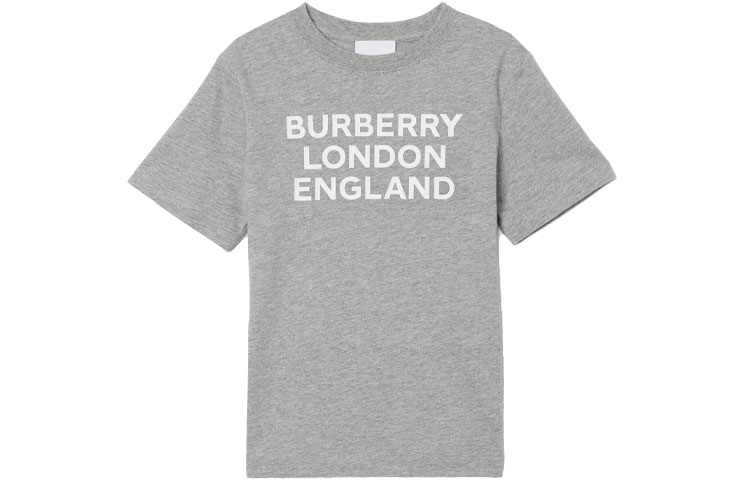 Мужская футболка Burberry 80288071 (серая)