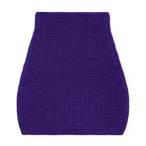 LOEWE FW24 Casual Short Skirts Women's Purple