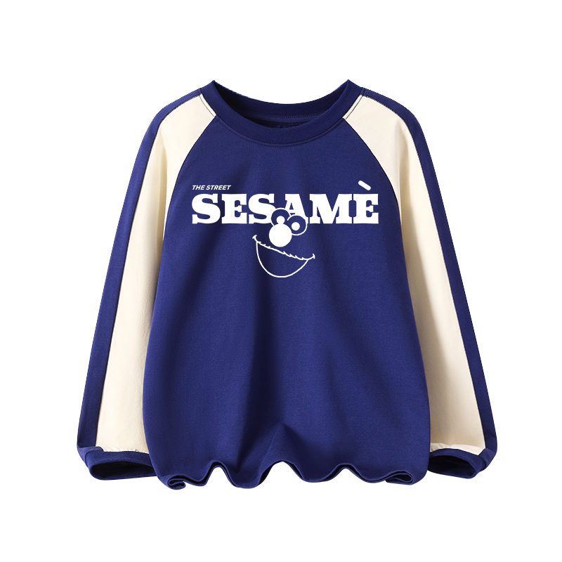 Толстовка SESAME STREET (разноцветная) — фото 6
