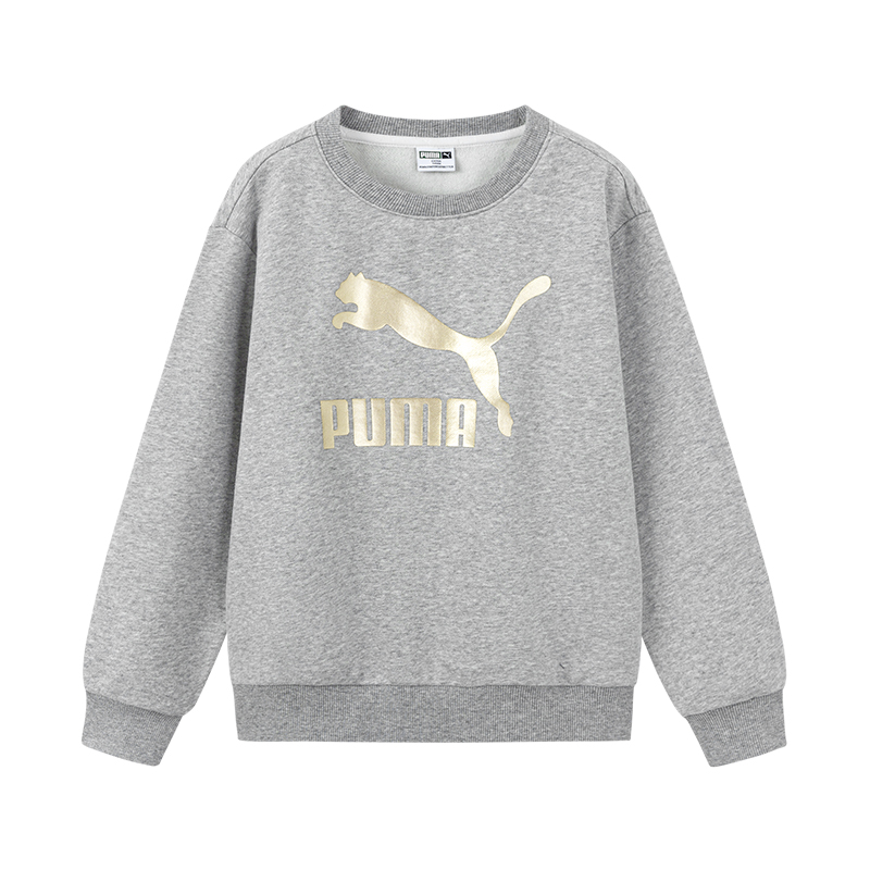 Худи PUMA PUMA Sportstyle (светло-серое)