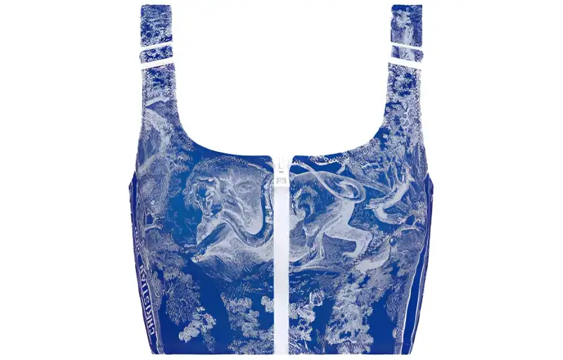 DIOR Quarterly New Products Bikinis Women's Cornflower Blue Moderate