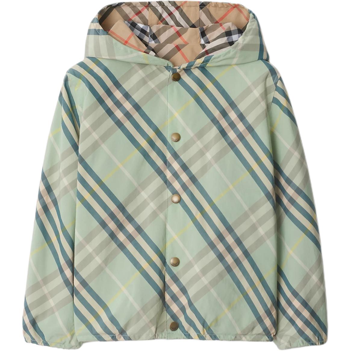 Мужская куртка Burberry Burberry (светло-зеленая)