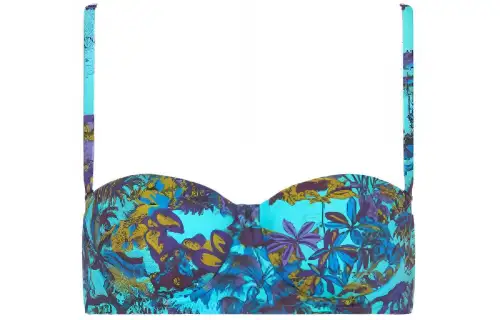 Christian DIOR Floral Printed Bikini Top