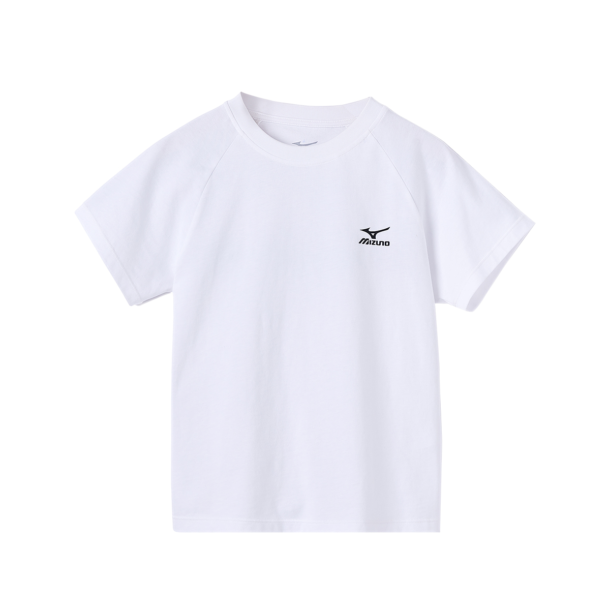 Мужская футболка Mizuno (синяя)