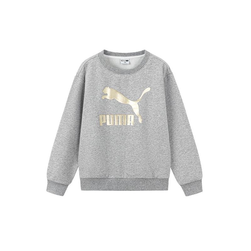 Детское худи PUMA PUMA SportstyleCLASSICS BIG LOGO CREW FL (серое)