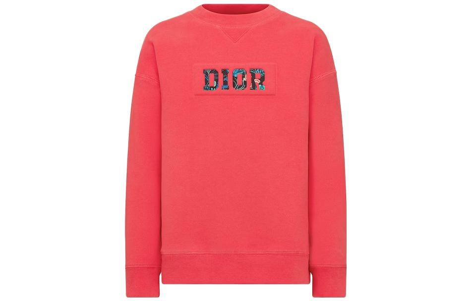 Мужское худи Dior Подростковое с буквенным принтом (розовое)