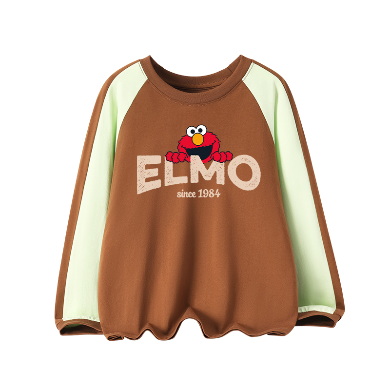 Толстовка SESAME STREET (разноцветная) — фото 8