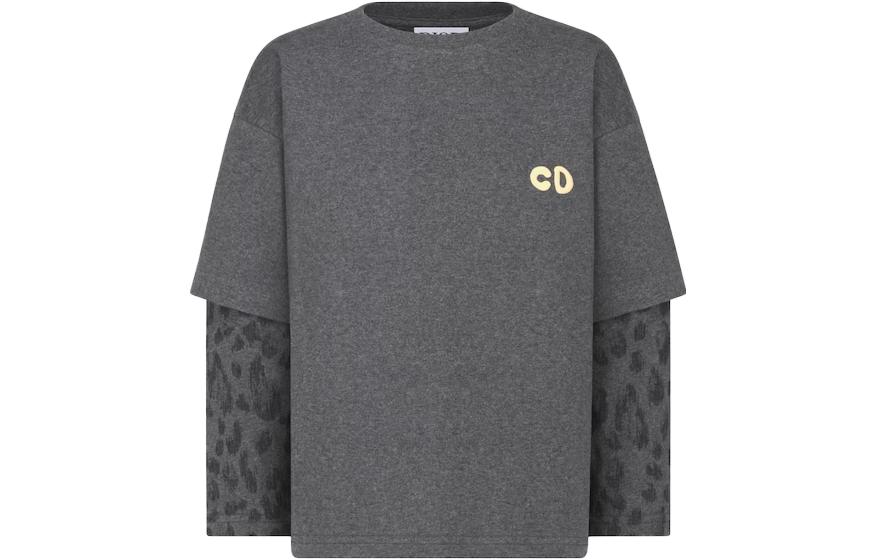 Мужская футболка Dior FW23 (серая)