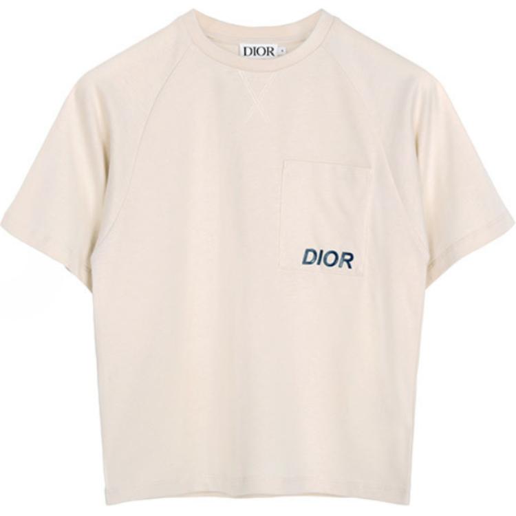 Мужская футболка Dior Logo Print (бежевая)
