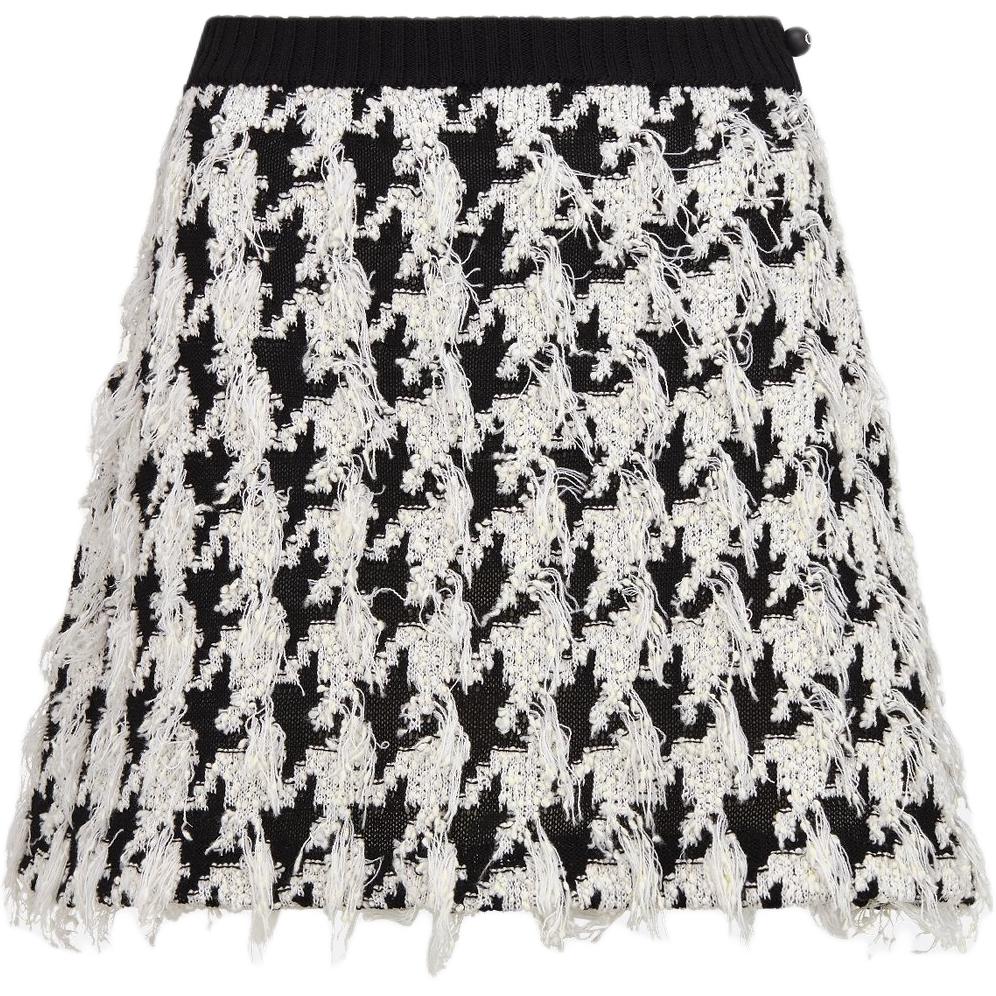 DIOR SS25 Spring Summer Ready to Wear Collection Casual Short Skirts Women's Black White