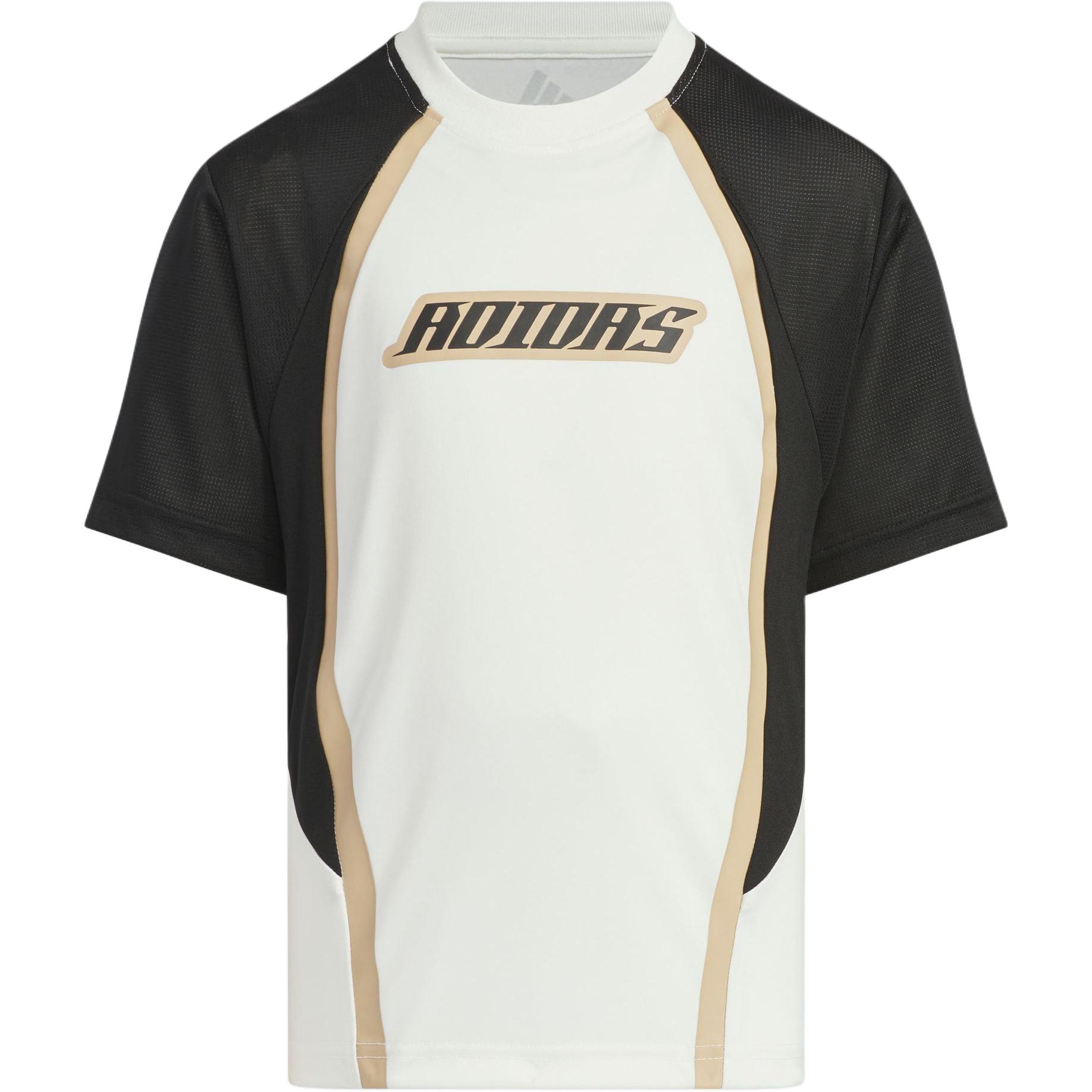 Мужская футболка adidasTSPORTSWEAR SHORT SLEEVE T-SHIRT (бело-черная)