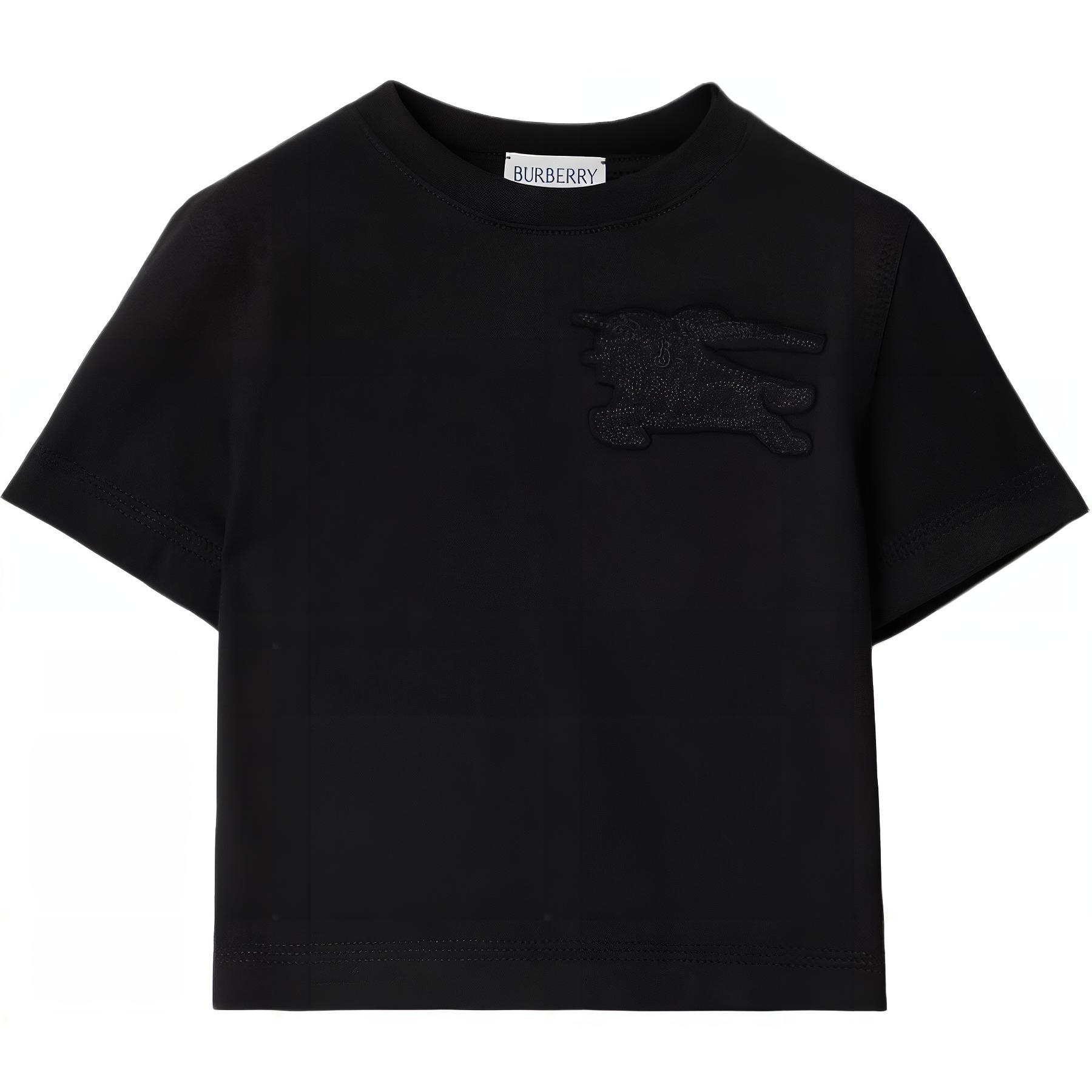 Мужская футболка Burberry T SS24Logo (черная)