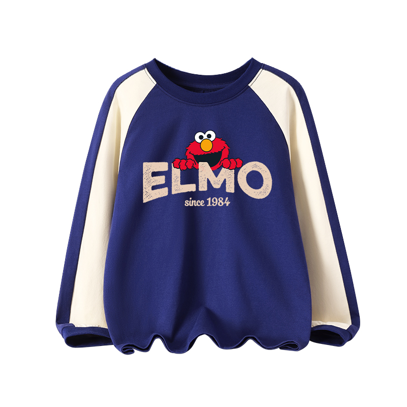 Толстовка SESAME STREET (разноцветная) — фото 10