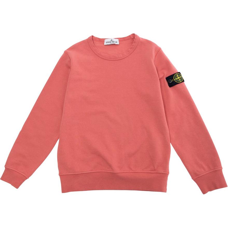 Свитшот STONE STONE ISLAND SS25 (красный)