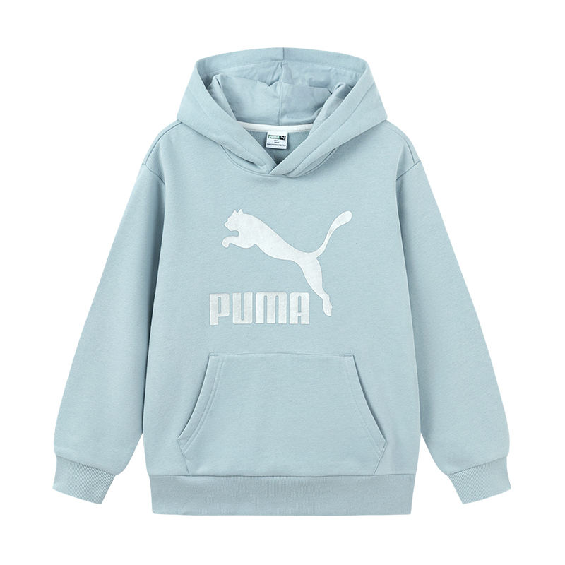 Худи PUMA PUMA Sportstyle LOGO (светло-голубой)