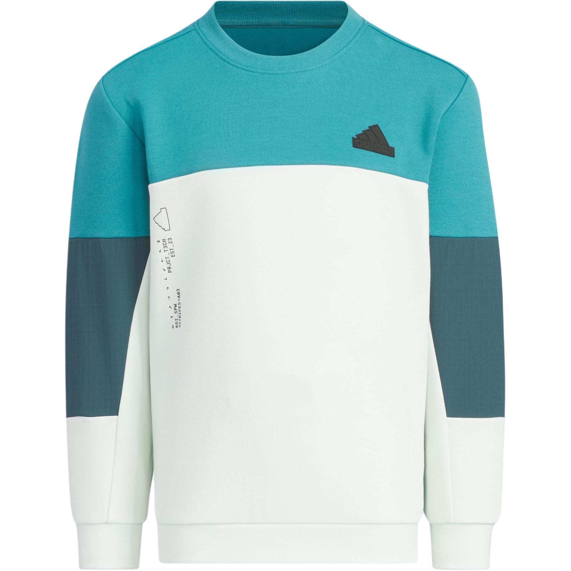 Мужское худи adidas OUTDOOR SWEATSHIRT (синее)